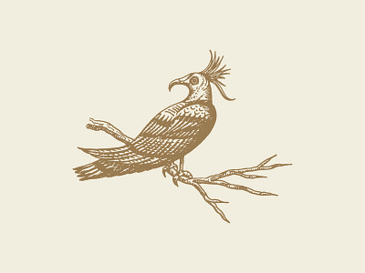 Bird Brain bird branding design graphic design illustration imagery
