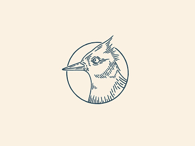 Bluebird bluebird design drawing graphic design handmade illustration traditional