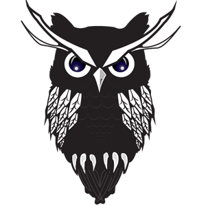 Night Owl bird design graphic life logo night nightowl owl