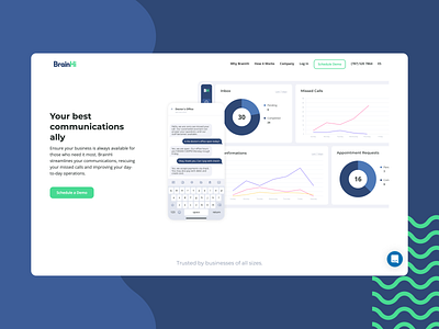 BrainHi Landing Page