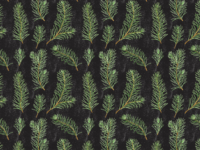 Watercolor pine branches seamless pattern autumn black background botanical botanical pattern botany fall fir holiday illustration leaves pattern pine pine tree repeated textile watercolor winter wrapping paper