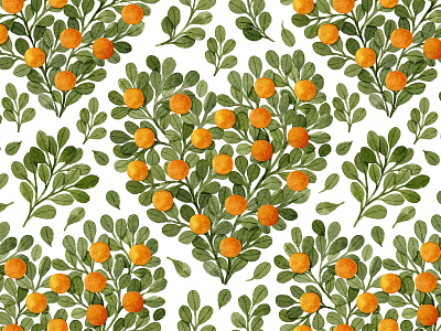 Oranges and green leaves in shape of heart berries botanical botany cute eucalyptus heart illustration leaves love oranges pattern watercolor