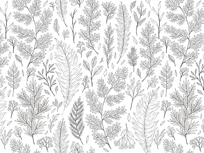 Sketched ferns and leaves seamless pattern background berries black white botanical botany floral forest herbs illustration leaves lineart pattern pencil pencil drawing seamless textile wallpaper wild plants