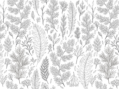 Sketched ferns and leaves seamless pattern