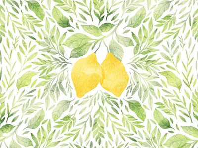 Lemons and symmetrical leaves