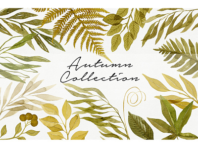 Watercolor Autumn Collection autumn berries botanical botanical pattern botany branches fall fern illustration leaves nature pattern seamless seamlesspattern watercolor watercolor fern
