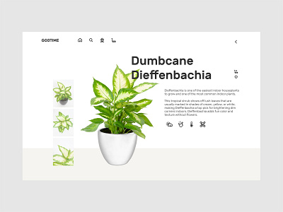 Plant Shop - Product adobe xd animation brand design icon minimal product responsive typography ui ux web