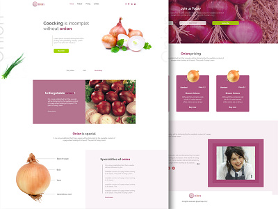 Onion Landing Page illustrator interaction landing page landing page concept photoshop product user experience user interface web design