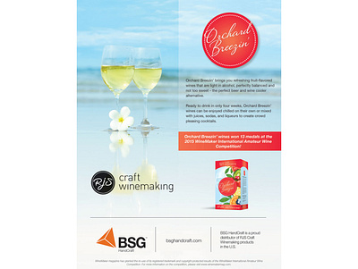 BSG Ad for Winemaker Magazine collateral design print