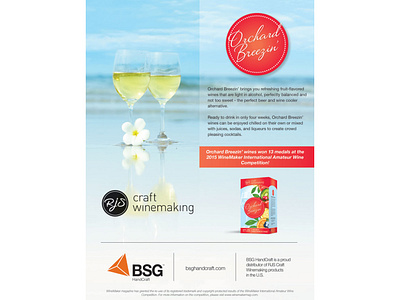 BSG Ad for Winemaker Magazine