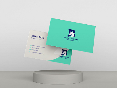 Brumby Systems Logo Redesign and Web UI design branding design graphic design logo ui web