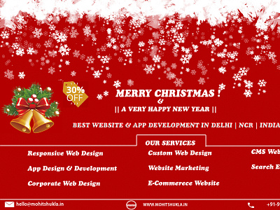 Best Freelance Website Designer in Noida