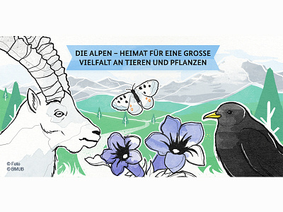 Tag der Berge alpen animal bkopf bkopfone digital illustration watercolor