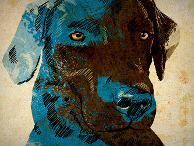 Rosi bkopf digital dog illustration labrador photoshop rosi
