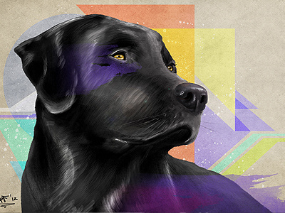 Rosi abstrakt bkopf bkopfone digital dog drawing illustration labrador painting photoshop rosi