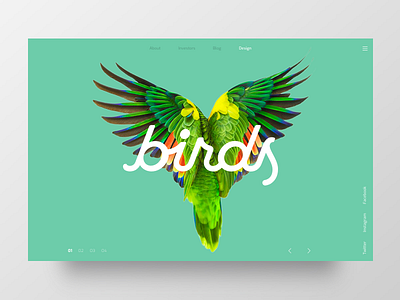 Birds banner color colors digital green hero illustration interface landing logo muzli parrot ui