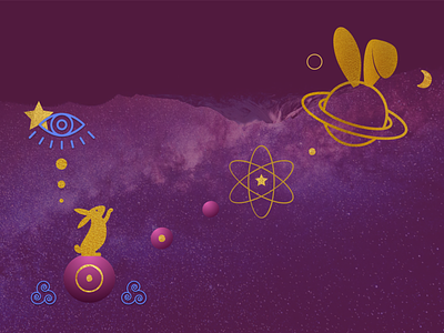 Digital Illustration for Cosmos Bunny branding illustration
