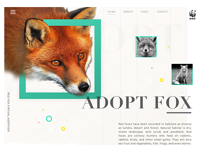 Foxes - WHF redesign cause clean donate foxes grid minmal redesign simple web website