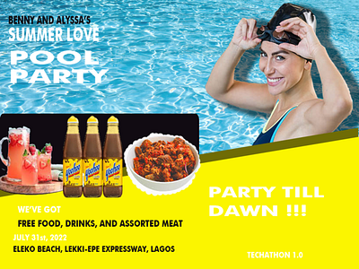 Party Pool branding dimension graphic design layout ui