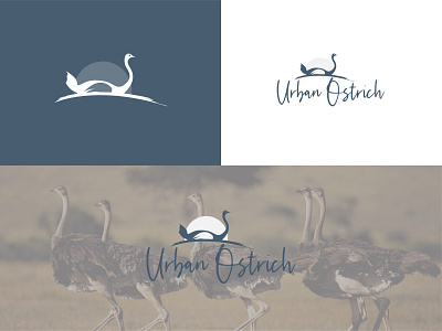 Urban Ostrich app branding design graphic design logo typography vector