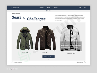 Apparels collections webpage design