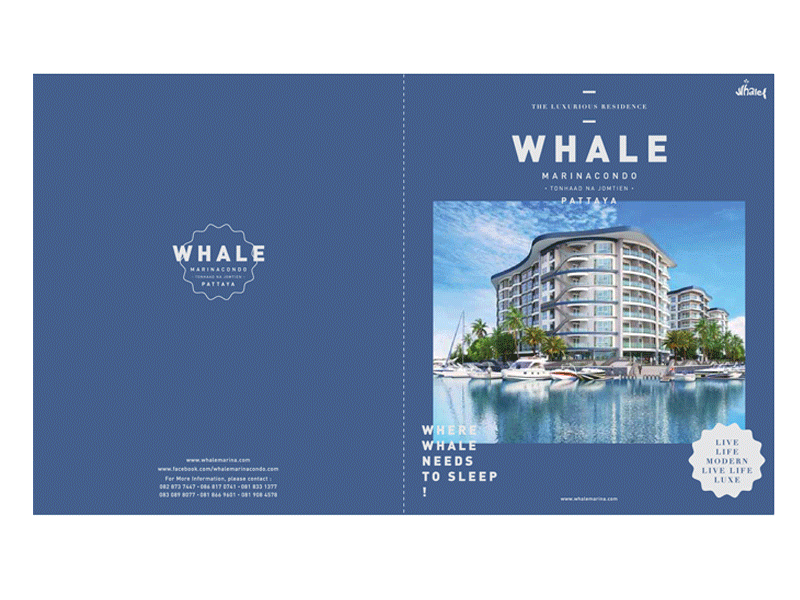 Whale Marina banner bookdesign corporate designdirection graphicdesign visualcommunication