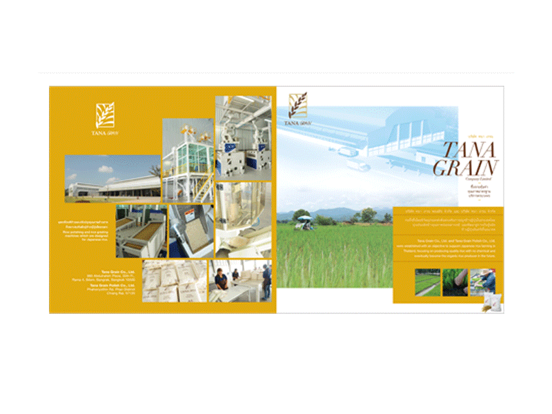 Rice Mill Catalogue art artdirection creative design designdirection graphic graphicdesign