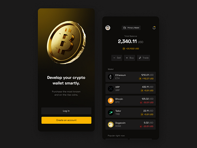 Crypto Wallet Concept