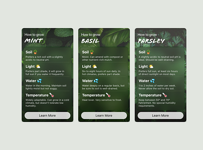 Daily UI 045 - Info Card app daily ui 045 dailyui design graphic design green herbs info card interface sketch ui