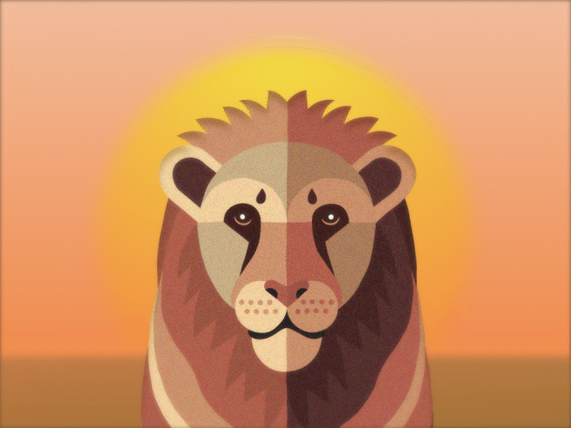 Lion 2d after effects animation design gif illustration illustrator jungle lion loop motion nature shape