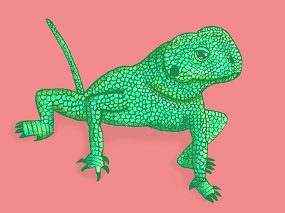 Lizard 2d design green illustration illustrator light line work lizard nature photoshop reptile scales texture