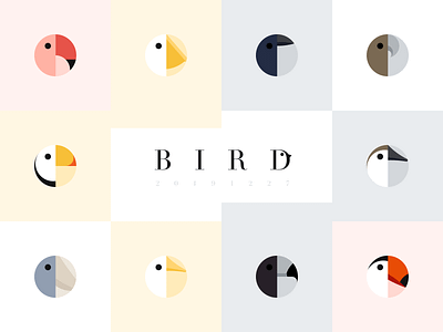 Circle shape design for bird bird circle icon illustration logo