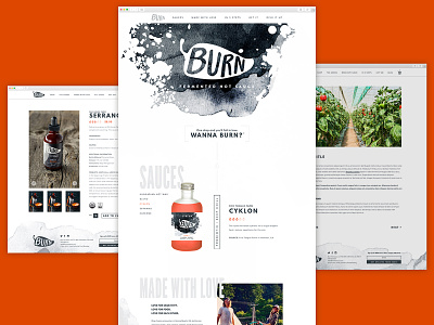 Burn Hot Sauce | Website Design web development website design website design company website designer