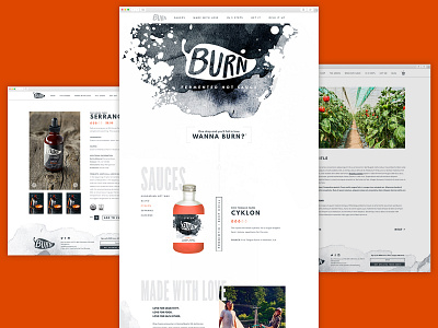 Burn Hot Sauce | Website Design