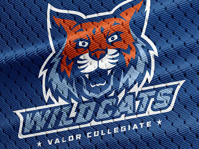 Valor Collegiate Academies brand identity branding design education graphic design logo mascot nashville web