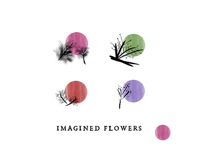 Imagined Flowers - Visual concept study for Wine Label branding concept design flowers graphic design illustration ink mendoza valley wine