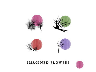 Imagined Flowers - Visual concept study for Wine Label branding concept design drawing flowers graphic design illustration ink nature vino wine