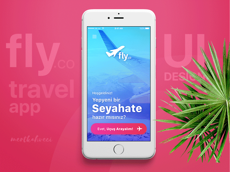 fly.co - UI Concept animation booking concept fly ios app travel ui