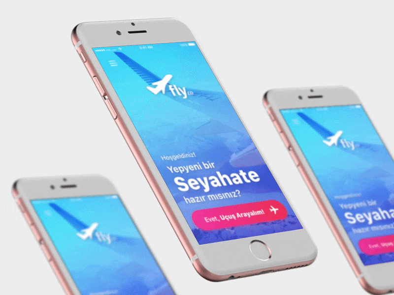 fly.co - City Selection Animation airplane animation app booking fly interaction ios prototype ticket ui user interface