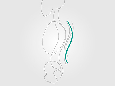 Logo concept - FISIOCARE anatomy concept health logo