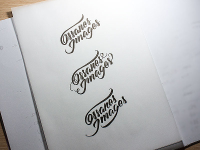 Sketches for a logo – 2nd round brand brush pen calligraphy handwritten lettering logo script logo typography
