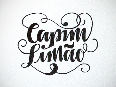 Logo design, sketch #2 calligraphy design handmade handwritten lettering logo script sketch typography