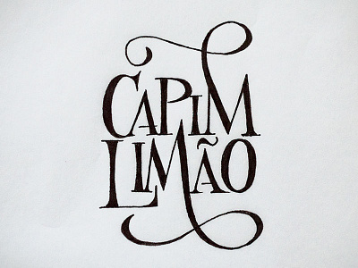 Logo design, sketch #3 calligraphy design handmade handwritten lettering logo script sketch typography