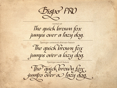 Bispo Pro – new typeface bispo free font calligraphy opentype type design typeface typography