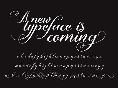 New typeface, soon… calligraphy lettering type design typeface