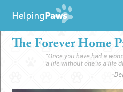 The Forever Home Project adobe xd crowdfunding dogs donation mockup photoshop uiux web
