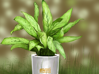 PLANT SERIES 1 digital painting indoor plant indoor pot leaf photoshop product design