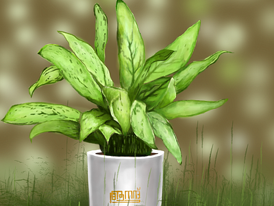 PLANT SERIES 1 digital painting indoor plant indoor pot leaf photoshop product design