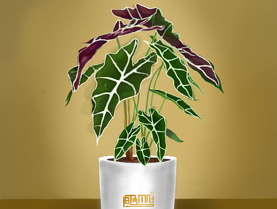 PLANT SERIES 2 alocasia polly digital painting houseplant illustration indoor plant indoor plants and pot plant pot
