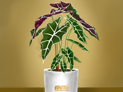 PLANT SERIES 2